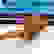 item-102877691=7