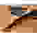 item-102882293=4