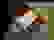 item-102884885=3