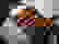 item-102884885=4