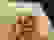 item-102884886=3