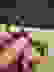 item-102884904=3