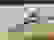 item-102884904=5