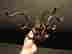 item-102884940=7