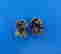 item-102895537=5