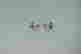 item-102895567=7