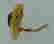 item-102895585=4