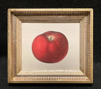 1844 beautiful red apple hand colored engraving: Title: 1844 beautiful red apple hand colored engravingDimensions: Total framed size is approximately 6" x 6 3/4".Provenance/Additional Info: In a 19thc worn gold leaf frame Shipping:Domestic: