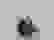 item-102962551=3