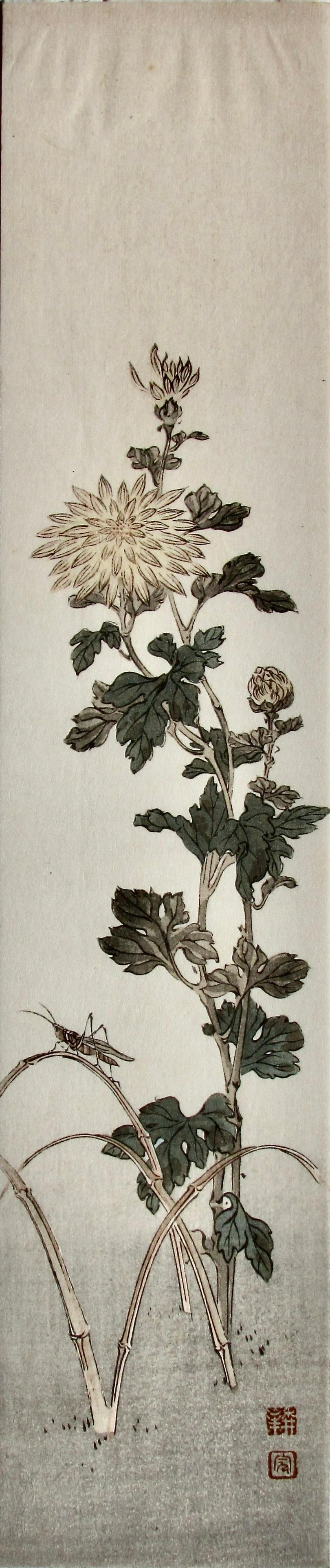 Shoda Koho: Chrysanthemum: Artist: Shoda KOHO (1871-1946) Subject: Grasshopper on Chrysanthemum Publisher: Nishinomiya Seal: Koho Date: 1930s Format: tanzaku, 7.8 x 37.2 cm Condition: Fine impression, color and condition Reserv