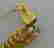 item-103017019=7