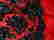item-103017030=6