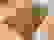 item-103019629=3