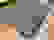 item-103019630=5