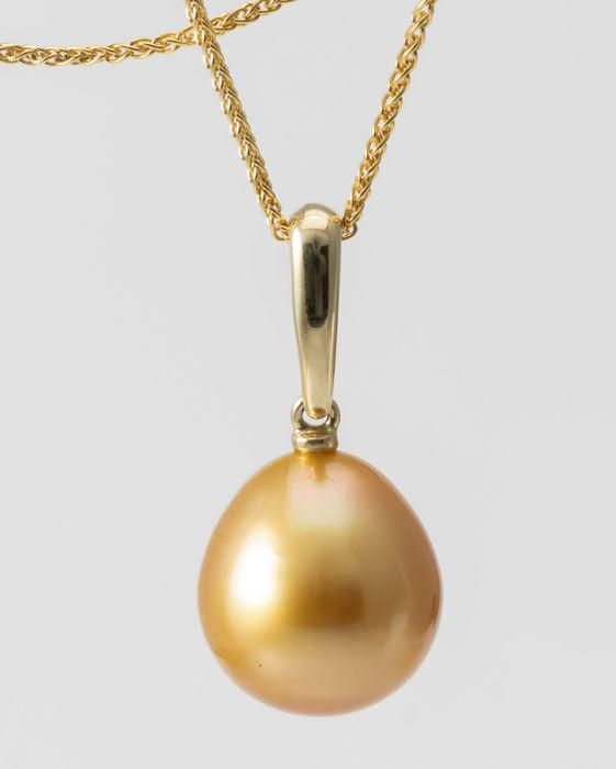 11x12mm Deep Golden South Sea Pearl Drop - 14 kt. (1 of 8)