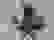 item-103032716=4