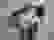 item-103032717=2