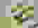 item-103032795=5