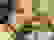 item-103041348=4