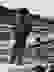 item-103041354=3