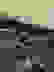 item-103041354=6