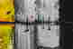 item-103041357=6