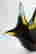 item-103187844=2