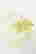 item-103187864=5