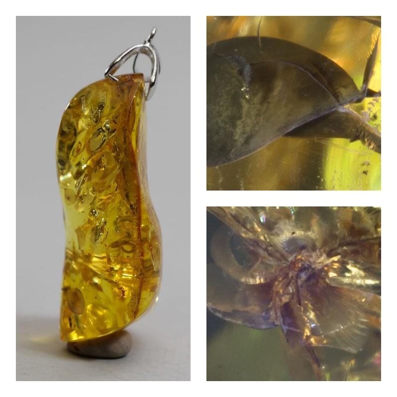 11 g. Natural Baltic amber pendant inclusion insects: Unique amber piece with insect (inclusion) which is 45-50 million years old. Collectible piece!. Faceted and polished Baltic amber stone. Pendant shape. Weight: 11 gram Inclusion: Fly (Diptera) Age: 4