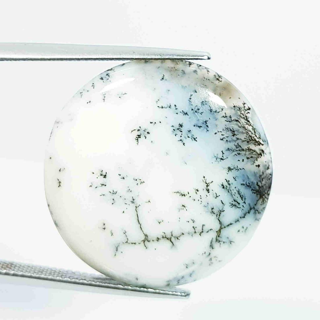 22.30 Ct Natural Dendrite Opal Round Cabochon (1 of 5)