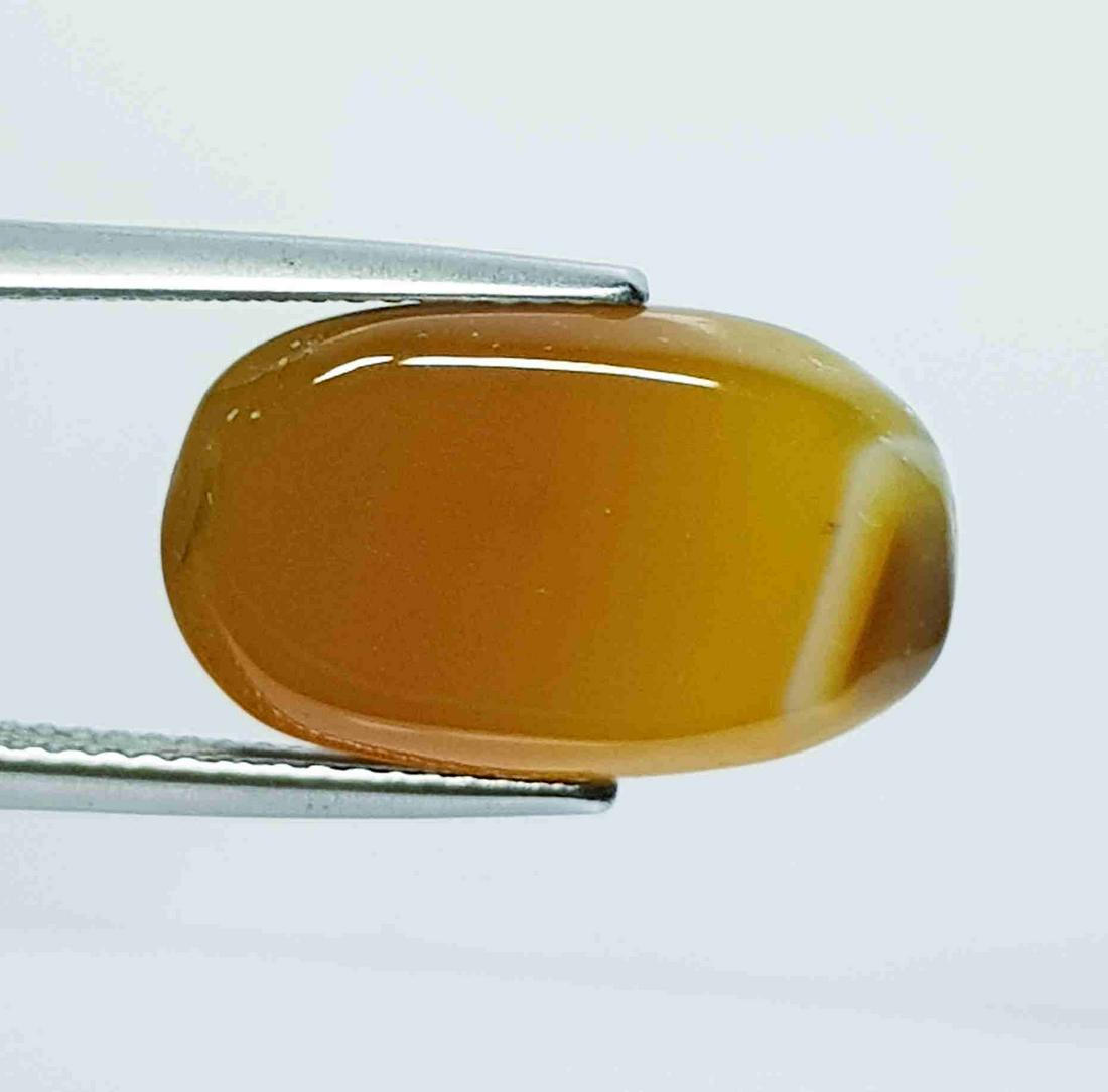 10.62 Ct Natural Brown Agate (1 of 4)