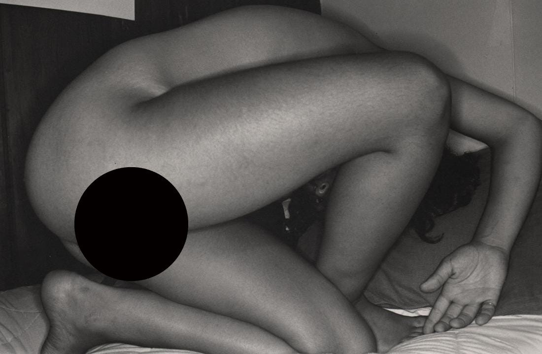 LEE FRIEDLANDER - Nude: Artist: LEE FRIEDLANDER Print Title: Nude Medium: Duotone Photoengraving Printed 1990’s in the US Image size (inches) approx. 6.5 x 9.5” Lee Friedlander is an American photographer and artist. In