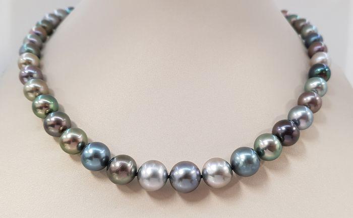8.2x11,5mm Round Multi Coloured Tahitian Pearls - 14: Title: 8.2x11,5mm Round Multi Coloured Tahitian Pearls - 14 kt. Yellow gold - Necklace Description: Elegant fine jewelry for the evening, this breathtaking necklace is made with multi-colored Tahitian