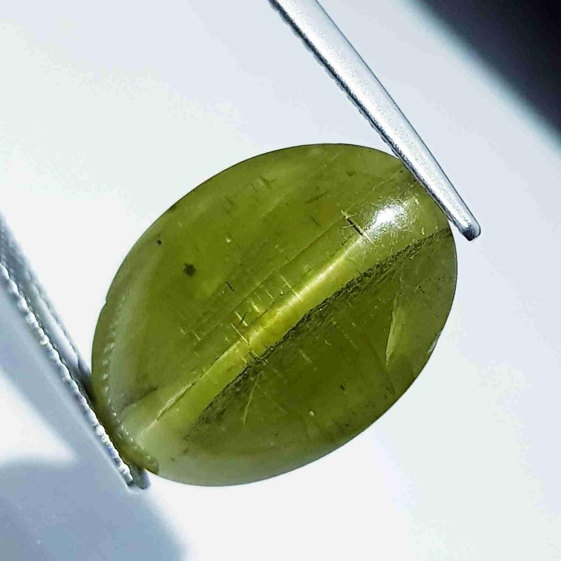 Natural Apatite cat's Eye 16.94 ct: No Reserve! Title: Natural Apatite cat's Eye 16.94 ct Color/Clarity:Opaque Carat Weights: 16.94 Size/Dimensions: 19.10 x 14.00 x 7.10 Additional Information:Oval - Srilanka Shipping: Domestic: Flat-r