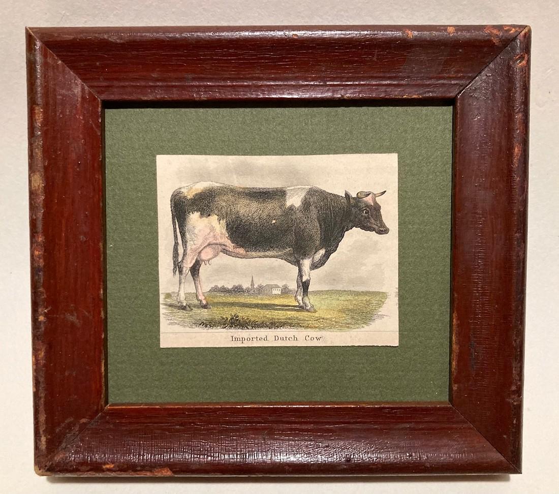 19thc Hand Colored Engraving Of A Dutch Cow. (1 of 2)