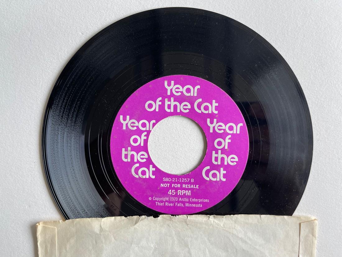 ARCTIC CAT PROMO SINGLE (1 of 1)