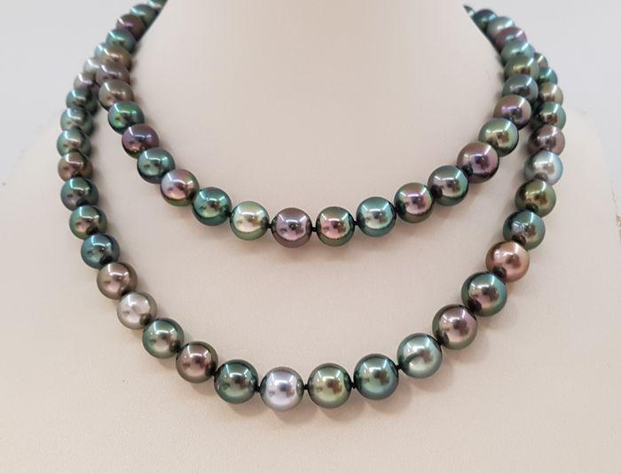 9x12mm Shimmering Multi Tahitian Pearls - 14 kt. Yellow: Title: 9x12mm Shimmering Multi Tahitian Pearls - 14 kt. Yellow gold - Necklace Description: Grown in the black-lipped Pinctada margaritifera oyster in the tropical waters of French Polynesia, these Ta
