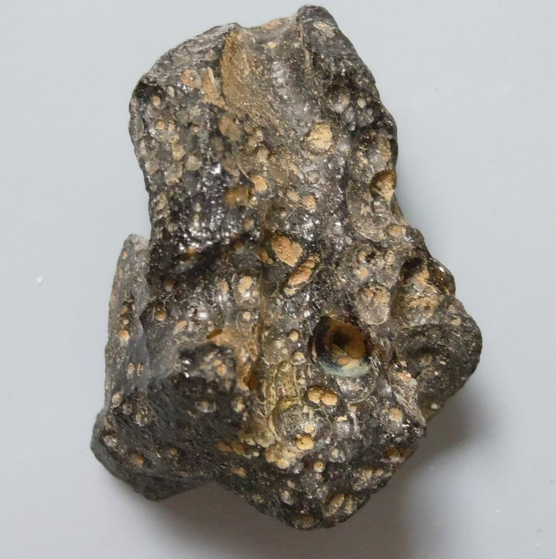 PHILIPPINITE TEKTITE - FROM METEORITE IMPACT (1 of 4)