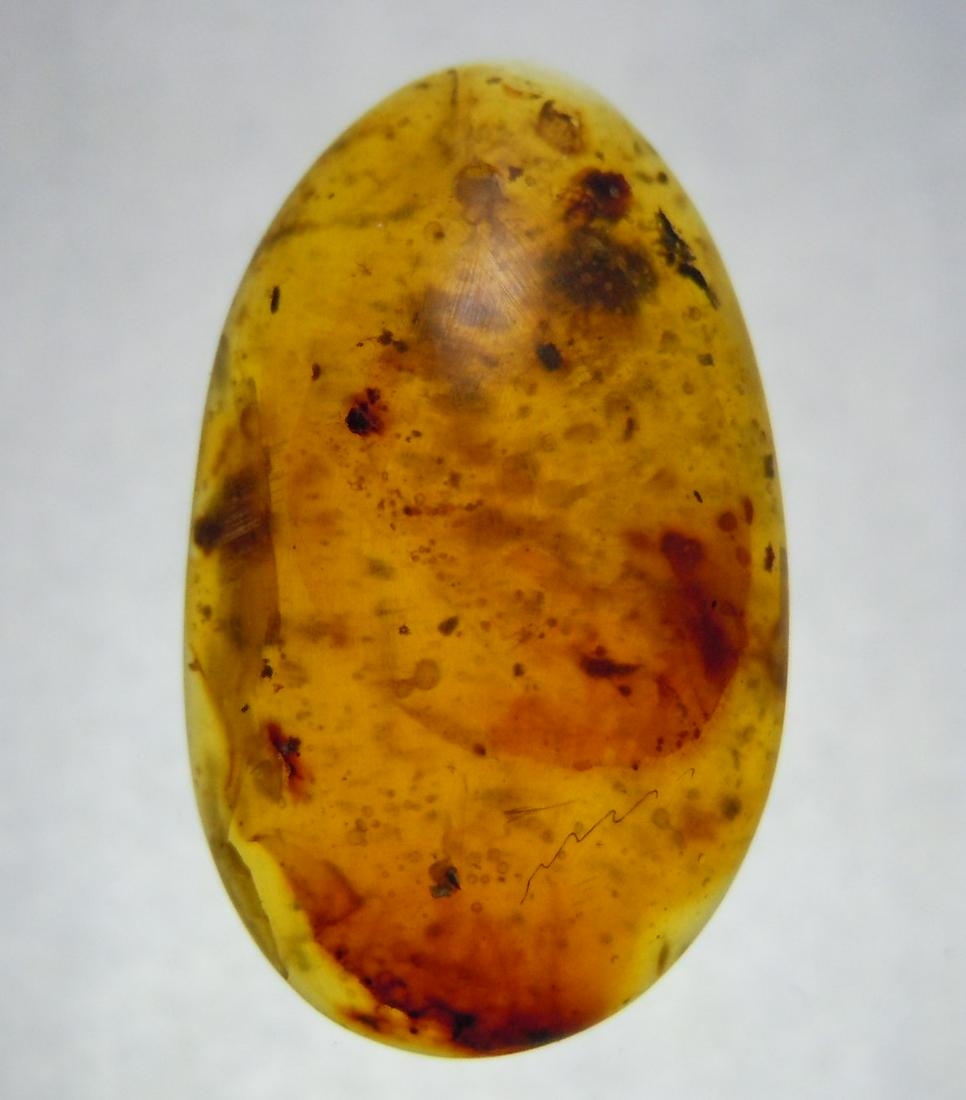 100 MILL YEARS OLD BURMITE AMBER WITH AIR BUBBLES: Title: 100 MILL YEARS OLD BURMITE AMBER WITH AIR BUBBLES Origin: Hukawang Valley, Kachin State, Myanmar Size: 2.5x1.5x0.6 cm / 1.24 gram Description: clear burmite amber with many air bubble and unide