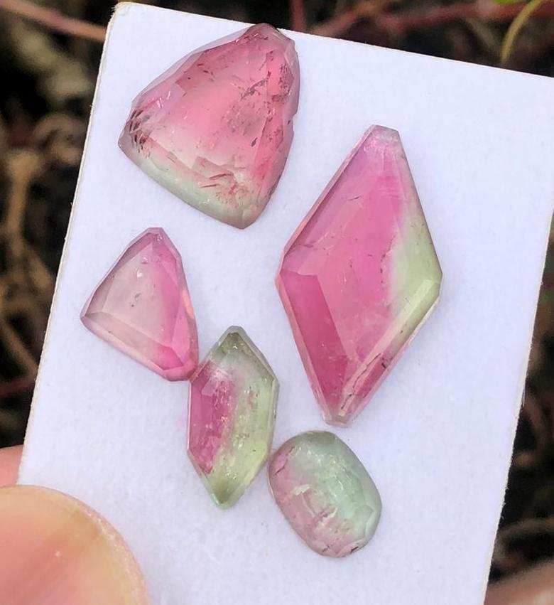 14 Carats Bio Color Tourmaline Rose Cut 5 Pcs (1 of 4)