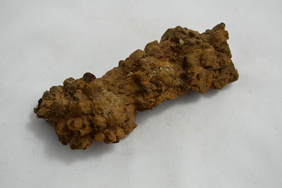 3 3/4" Coprolite Fossil, Dinosaur Dung: 3 3/4" Coprolite Fossil, Dinosaur Dung Reserve: $10.00 Shipping: Domestic: Flat-rate of $10.00 to anywhere within the contiguous U.S. International: Foreign shipping rates are determined by destinatio