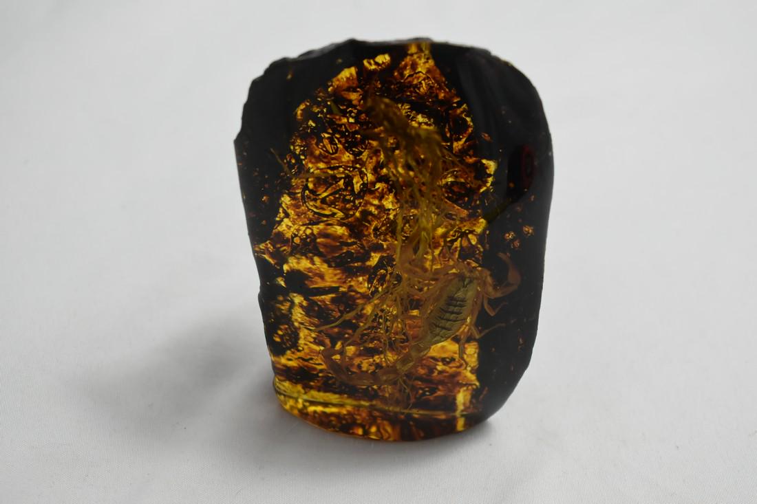 3 5/8" Scorpion Preserved in Amber, Resin Reproduction, (1 of 3)