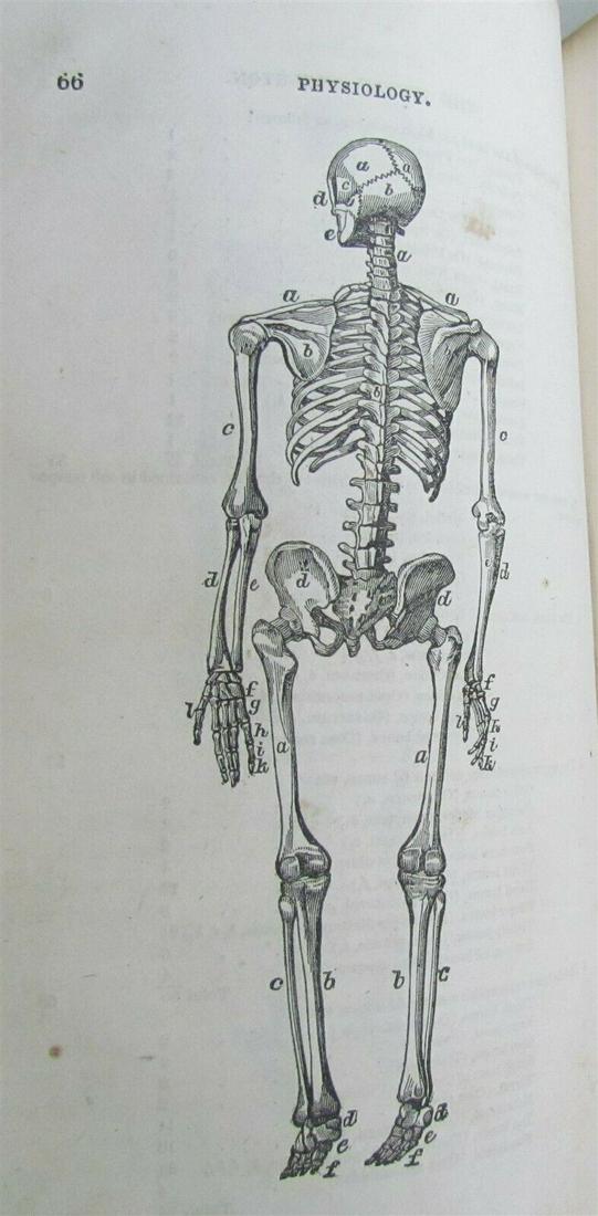 1847 HUMAN PHYSIOLOGY ILLUSTRATED AUBURN NY AMERICANA: Minor foxing. Almost detached front cover (holding on one cord) Damage to the leather of the front cover Size 4 3/4 by 7 3/4" 336 pages Reserve: $35.00 Shipping: Domestic: Flat-rate of $25.00 to anywh
