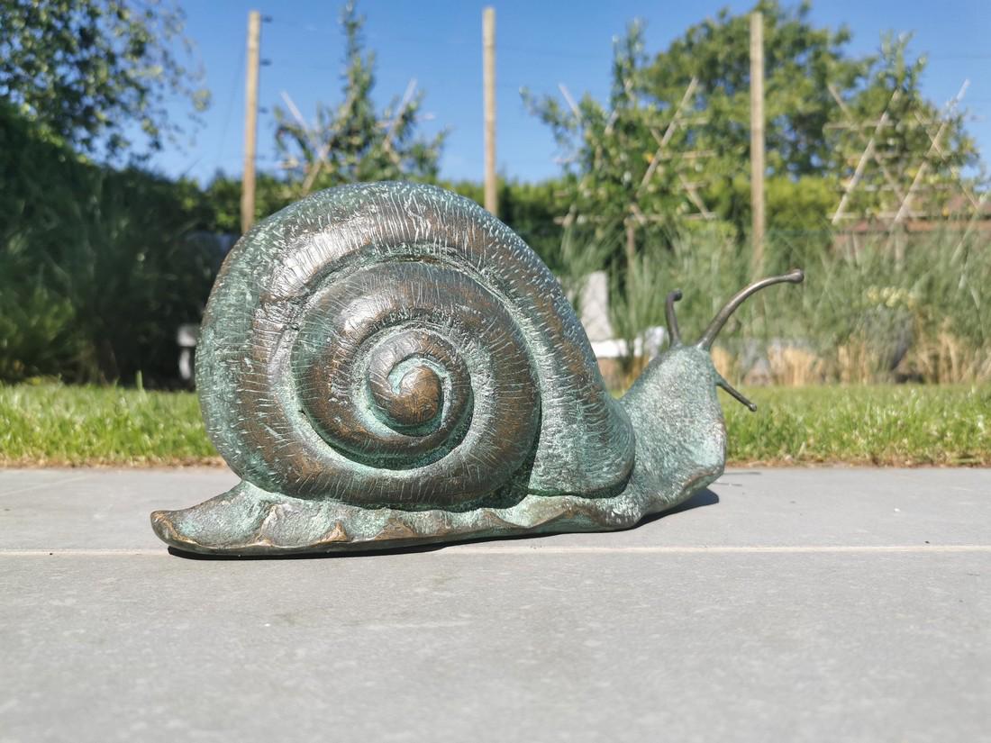Bronze snail - Garden decoration - Bronze garden (1 of 9)