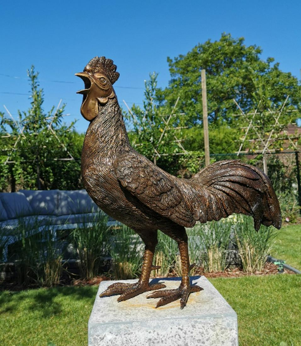 Large bronze rooster - Garden statue - Bronze garden (1 of 8)