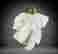 item-104338285=3