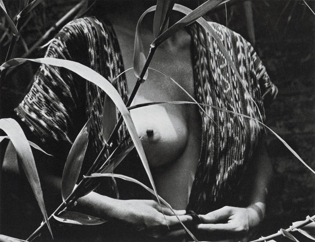 MANUEL ALVAREZ BRAVO - Forbidden Fruit, 1977 (1 of 1)