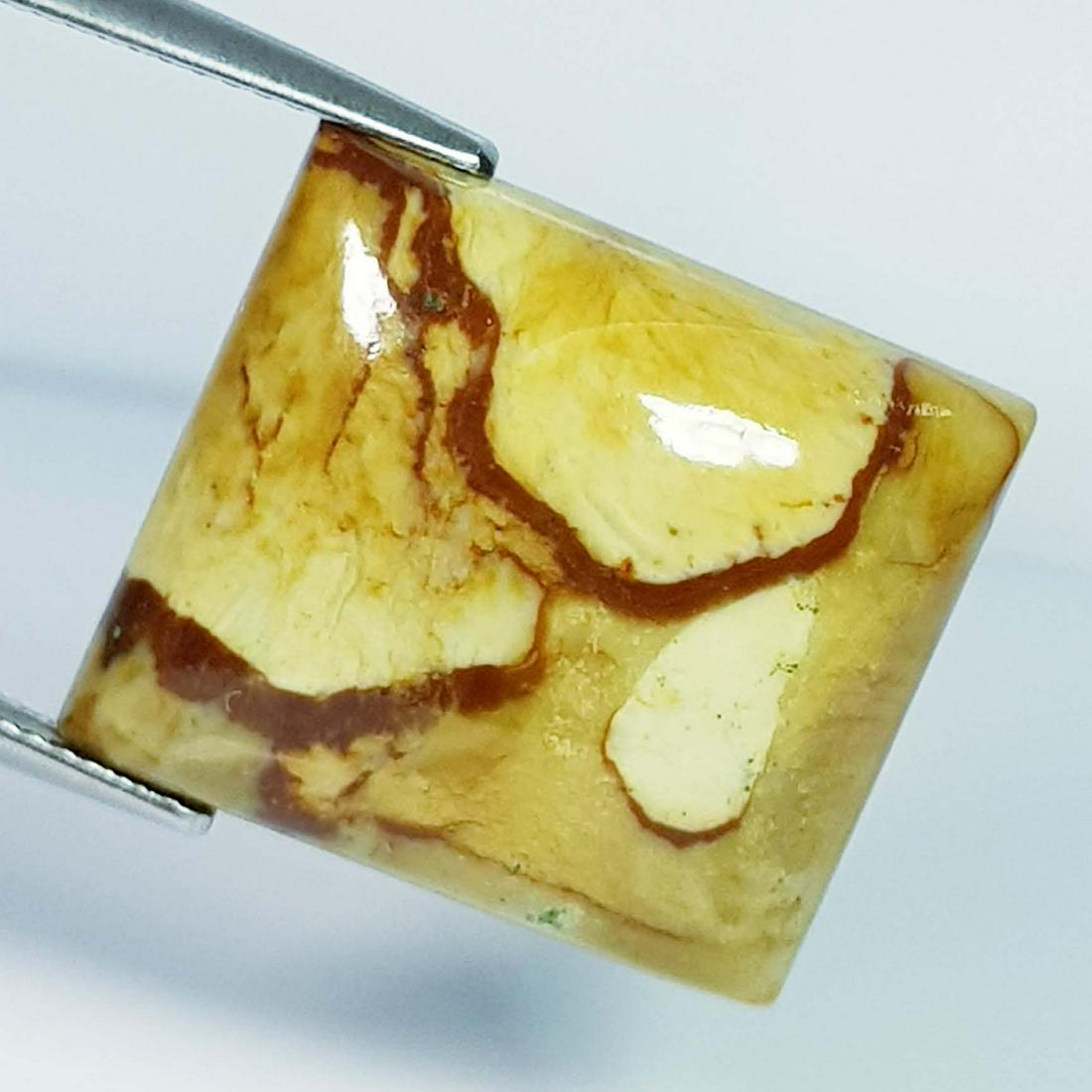 22.48 Ct Natural Jasper: No Reserve! Title: 22.48 Ct Natural Jasper Color/Clarity: Opaque Carat Weight: 22.48 Dimensions: 20.10 x 17.85 x 6.60 Additional Information: Rectangular - Africa Shipping: Domestic: Flat-rate of $7.