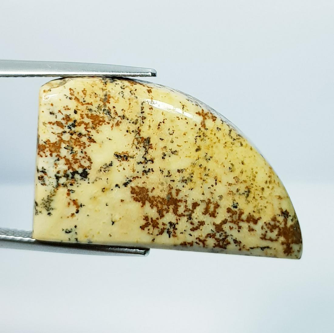 30.89 ct Natural Picture Jasper: No Reserve! Title: 30.89 ct Natural Picture Jasper Color/Clarity: Opaque Carat Weight: 30.89 Dimensions: 28.45 x 17.35 x 6.95 Additional Information: Fancy - Brazil Shipping: Domestic: Flat-rate of $