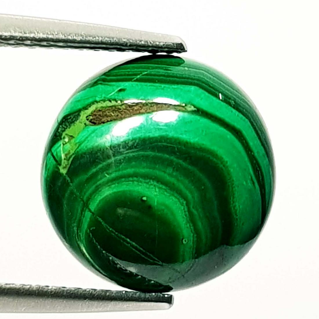 7.38 ct Natural Malachite: No Reserve! Title: 7.38 ct Natural Malachite Color/Clarity: Opaque Carat Weight: 7.38 Dimensions: 12.40 x 12.40 x 4.30 Additional Information: Round - USA/Egypt Shipping: Domestic: Flat-rate of $7.00
